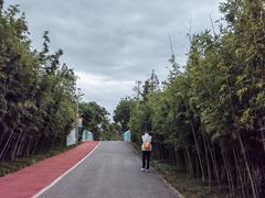 -上海长兴岛郊野公园