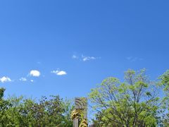 -北坞公园