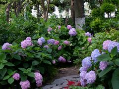 -常州古运河南大街文化旅游区-人民公园