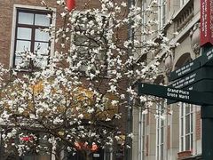 -布鲁塞尔大广场