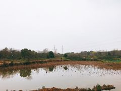 -东湖落雁景区