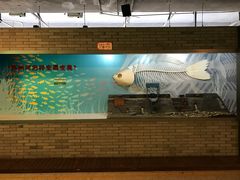 -苏州河梦清园环保主题公园