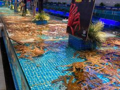 -驻海渔市(置信店)