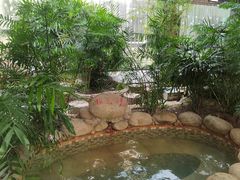 -三江森林温泉度假区