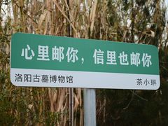 -洛阳古墓博物馆