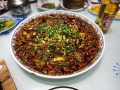 来凤鱼-新概念来凤鱼(璧山店)