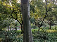 -广州雕塑公园