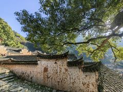 -杨家堂村