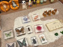 -二酉书店TOYOU BOOKS