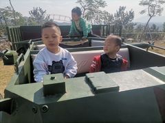 -清境桃源
