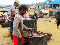 -尼甘布海鲜市场