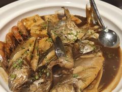-船歌·鱼水饺青岛菜(金狮广场店)