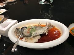 -马仕玖煲·融合菜·酥不腻烤鸭(人大店)