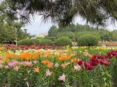 -长春公园(普阳街道)