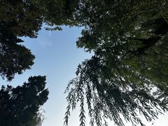 -团结湖公园