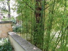 -抚仙湖万达文华酒店