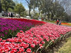 -玄武湖景区-情侣园游乐场