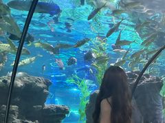 -南昌海洋公园