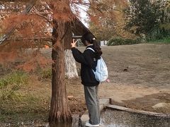 -祥源·阜阳生态乐园