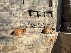-晋祠公园