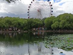 -青城公园