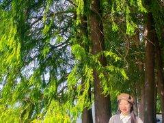 -长广溪湿地公园