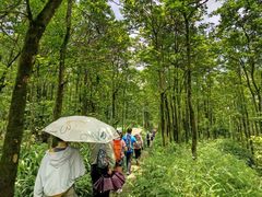 -山王坪喀斯特国家生态公园
