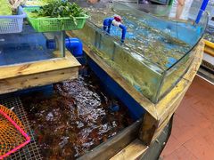水产区-肥仔濑尿虾(全球通总店)