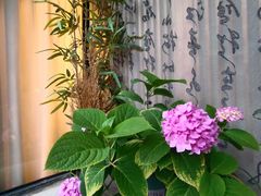 -邈墨茶馆(凤起路店)