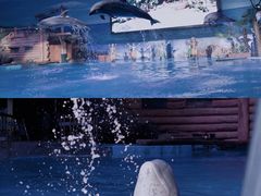 -大连老虎滩海洋公园