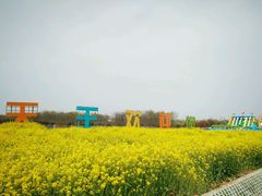 游乐设施-天王浮山樱花园
