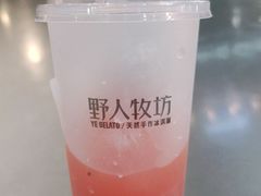 -野人牧坊Gelato(天津南开大悦城店)