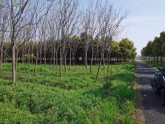 -小六农家乐(崇明西沙湿地店)