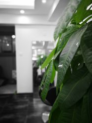 点击看大图 -Meet salon 遇见造型