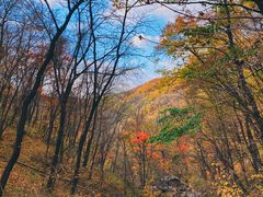 -天女山森林公园