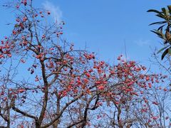 -广州大学(桂花岗校区)