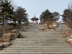 -大兴滨河森林公园