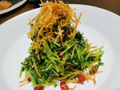 巧拌豆苗-四季民福烤鸭店(西单华威约饭街店)