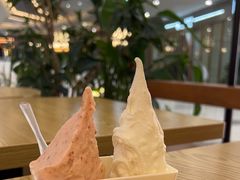 -野人先生Gelato(上海长宁龙之梦店)