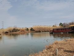 -宁波杭州湾国家湿地公园