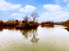 -西溪国家湿地公园