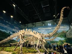 -自贡恐龙博物馆