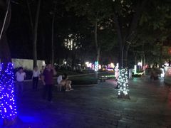 -金砂公园