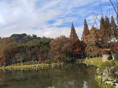 -昆山城市公园