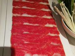 -汤城·料青山