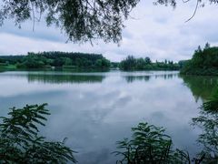 -翠湖国家城市湿地公园