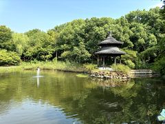 -天目湖山水园