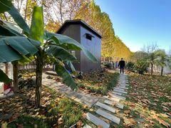 -Supine Bistro溯泮餐厅