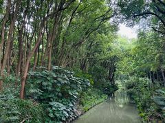 -同里国家湿地公园