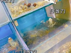 -东极岛海鲜